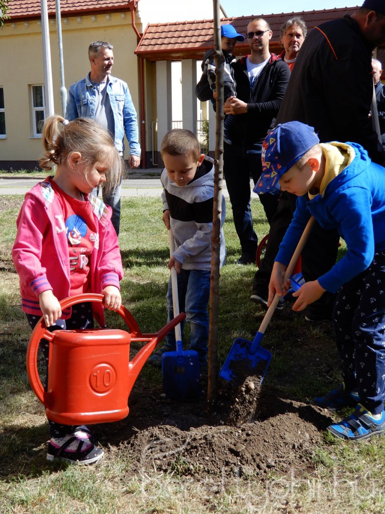 Életfa ültetés a város napján 36
